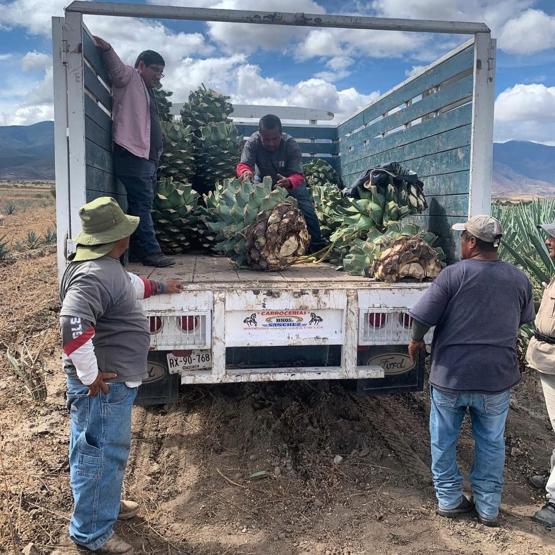 Quiquiriqui Espadin - Latitude Wine & Liquor Merchant