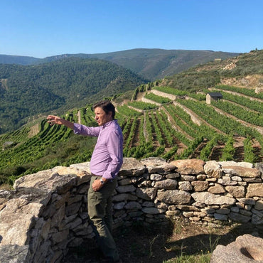 Rafael Palacios Louro Godello - Latitude Wine & Liquor Merchant