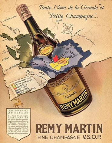 Remy Martin VSOP - Latitude Wine & Liquor Merchant