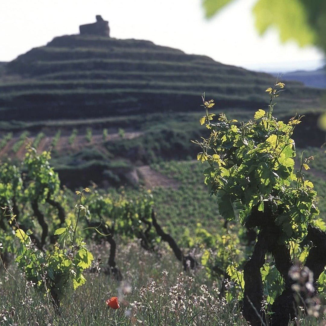 Roda Rioja Reserva - Latitude Wine & Liquor Merchant