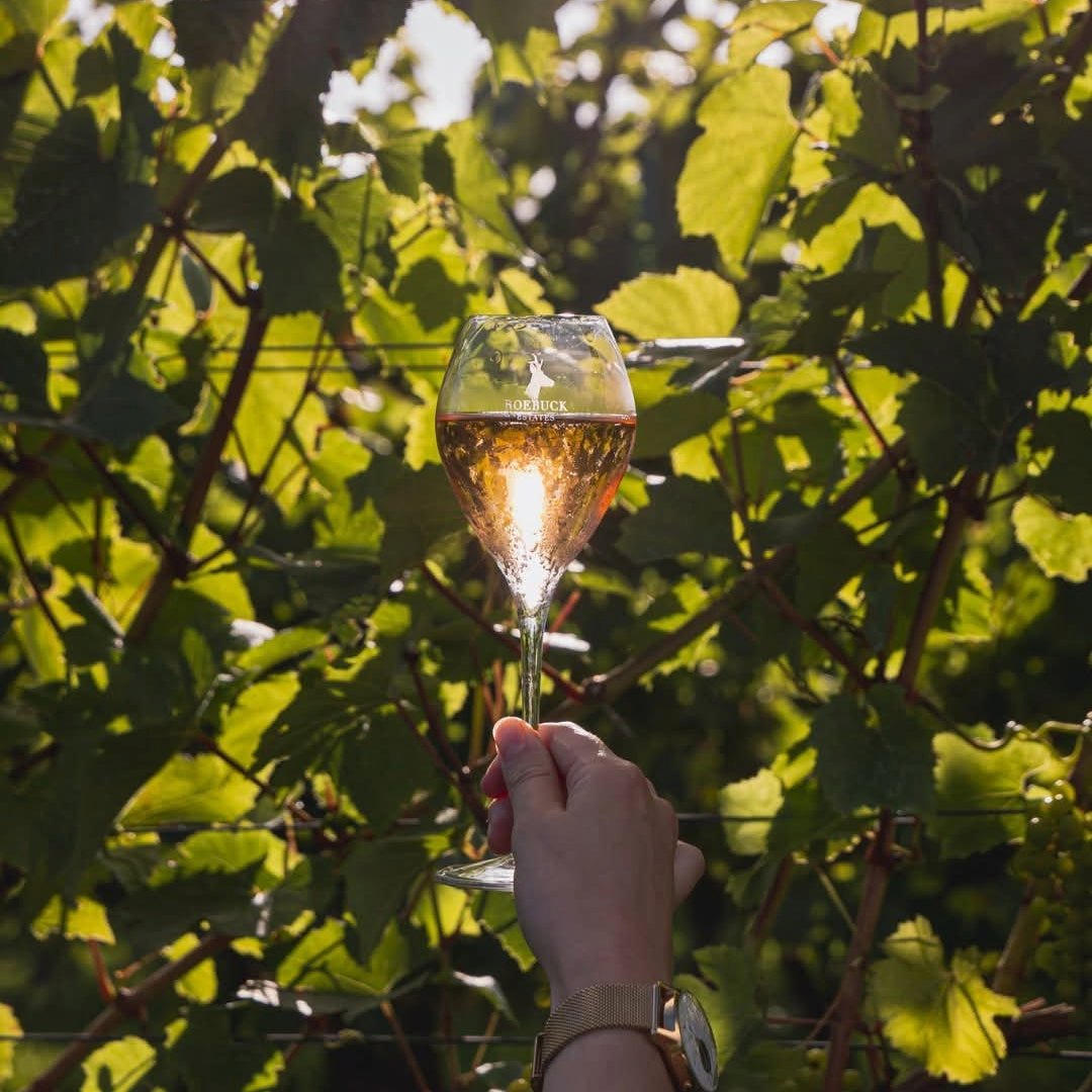 Roebuck Estates Rose De Noirs - Latitude Wine & Liquor Merchant