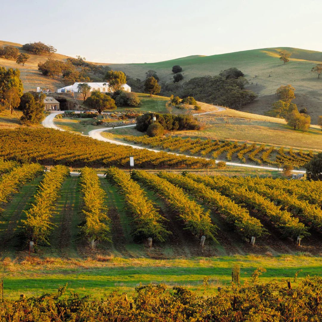 Rogers & Rufus Barossa Grenache Rose - Latitude Wine & Liquor Merchant
