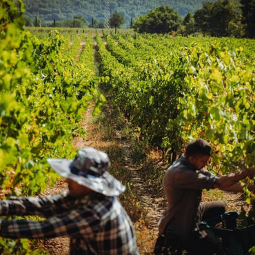 Savoia Orancio 50cl - Latitude Wine & Liquor Merchant