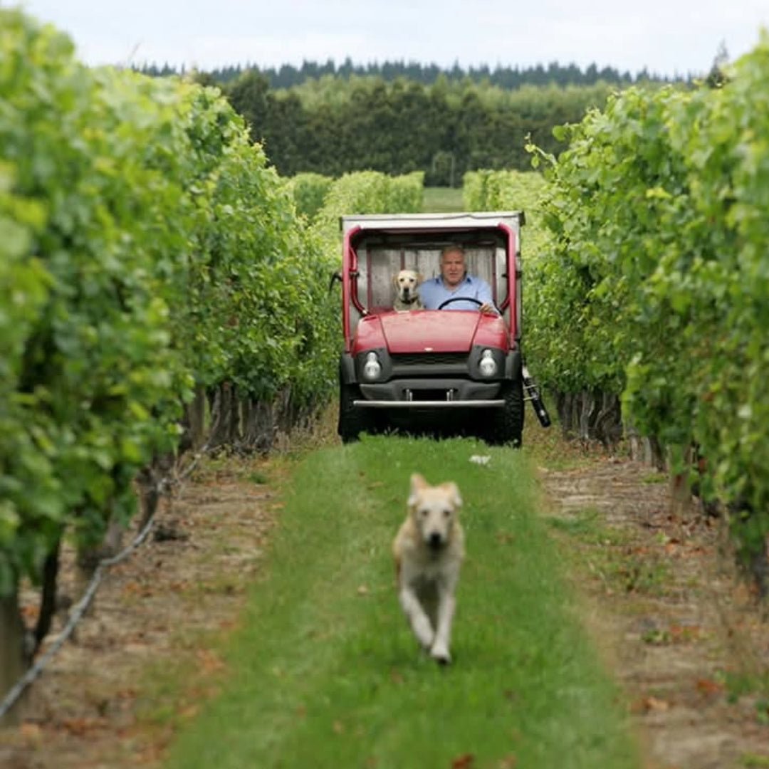 Seifried Estate Aotea Cabernet Franc - Latitude Wine & Liquor Merchant