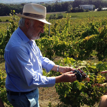 Sergio Mottura Poggio Della Costa Grechetto - Latitude Wine & Liquor Merchant