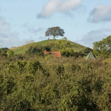 Somerset Cider Brandy 5yo - Latitude Wine & Liquor Merchant