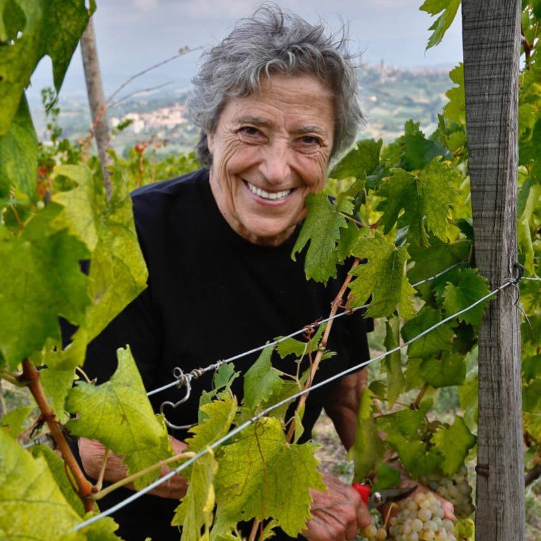 Sono Montenidoli Vernaccia di San Gimignano - Latitude Wine & Liquor Merchant