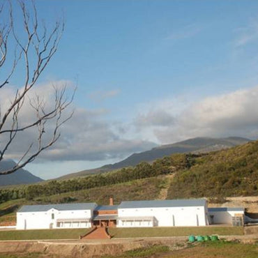 Southern Right Pinotage - Latitude Wine & Liquor Merchant