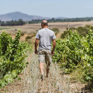 Spice Route Grenache - Latitude Wine & Liquor Merchant