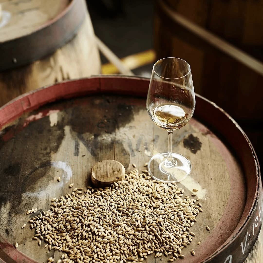 Starward Left Field - Latitude Wine & Liquor Merchant