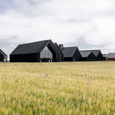 Stauning KAOS Danish Triple Malt Whisky - Latitude Wine & Liquor Merchant