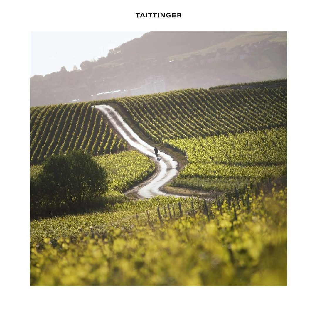 Taittinger Demi Sec - Latitude Wine & Liquor Merchant