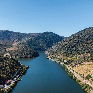 Taylor's Vintage - Latitude Wine & Liquor Merchant