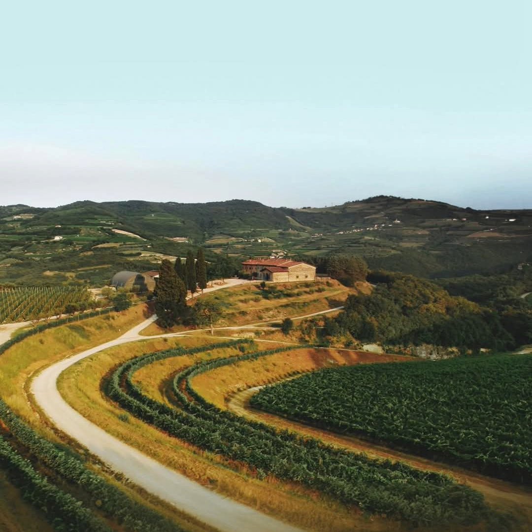 Tedeschi Amarone - Latitude Wine & Liquor Merchant