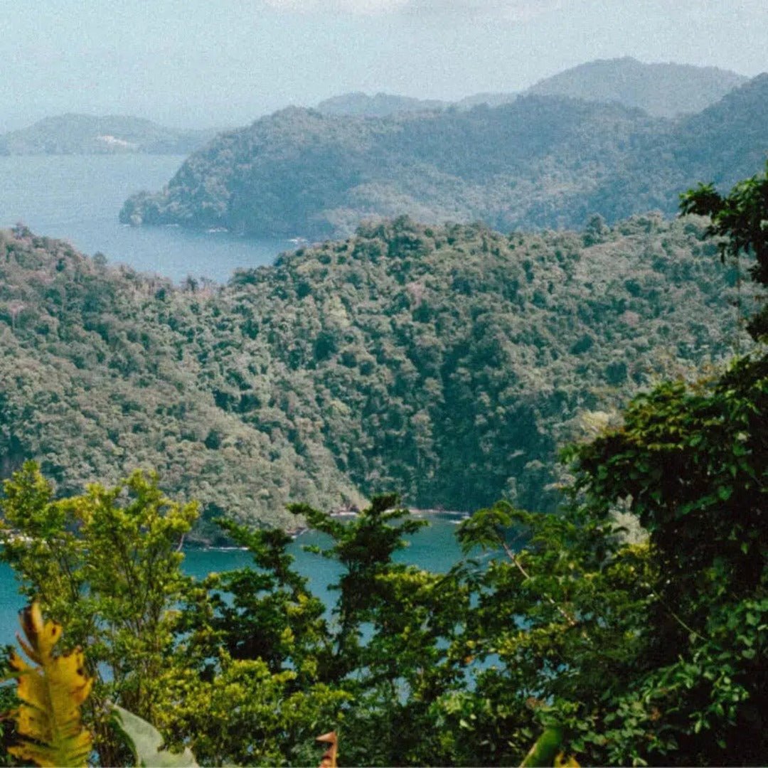 Ten To One Caribbean Dark Rum
