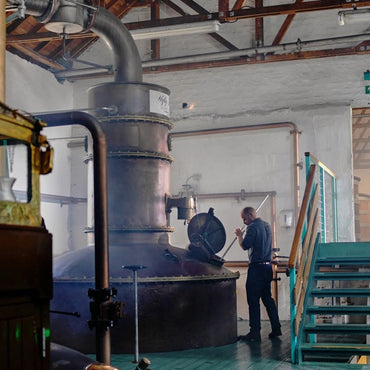 The Botanist Islay Gin - Latitude Wine & Liquor Merchant