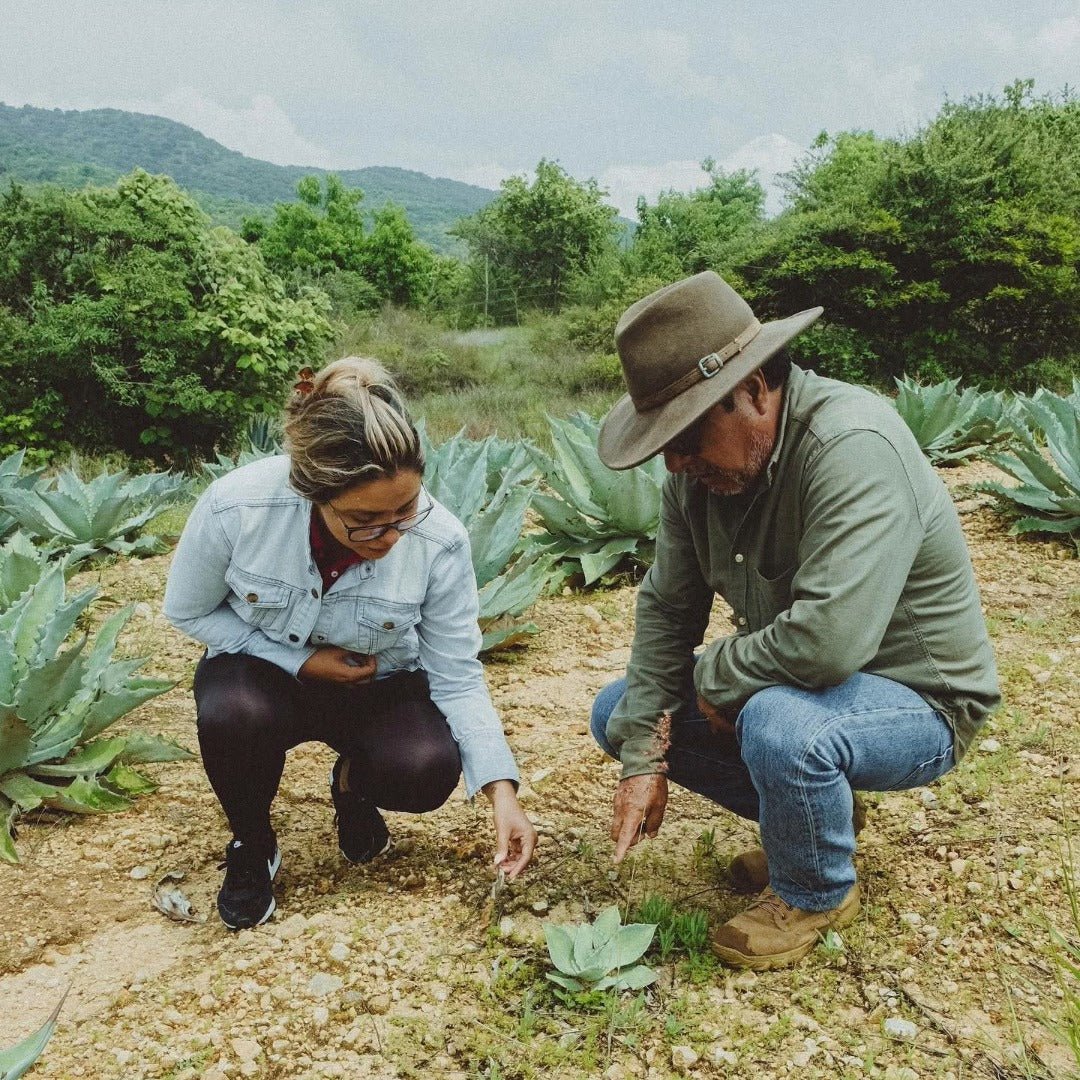 The Lost Explorer Tequila Blanco
