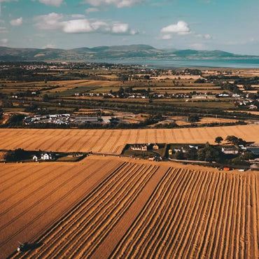 The Whistler Irish Cream - Latitude Wine & Liquor Merchant