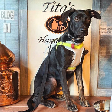 Tito's Handmade Vodka - Latitude Wine & Liquor Merchant