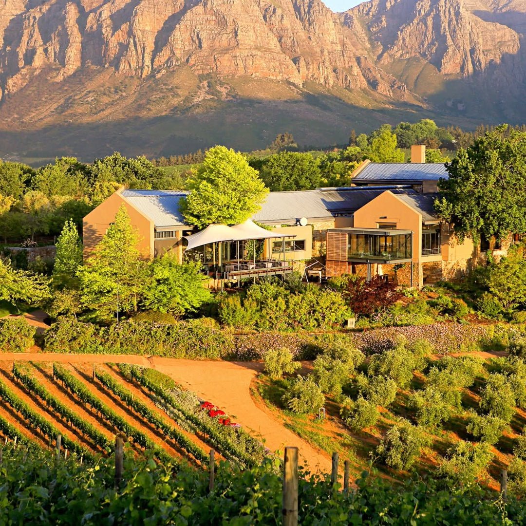 Tokara Reserve Collection Syrah - Latitude Wine & Liquor Merchant