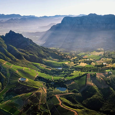 Tokara Reserve Collection Syrah - Latitude Wine & Liquor Merchant