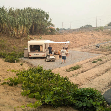 Tubarao Tinto - Latitude Wine & Liquor Merchant