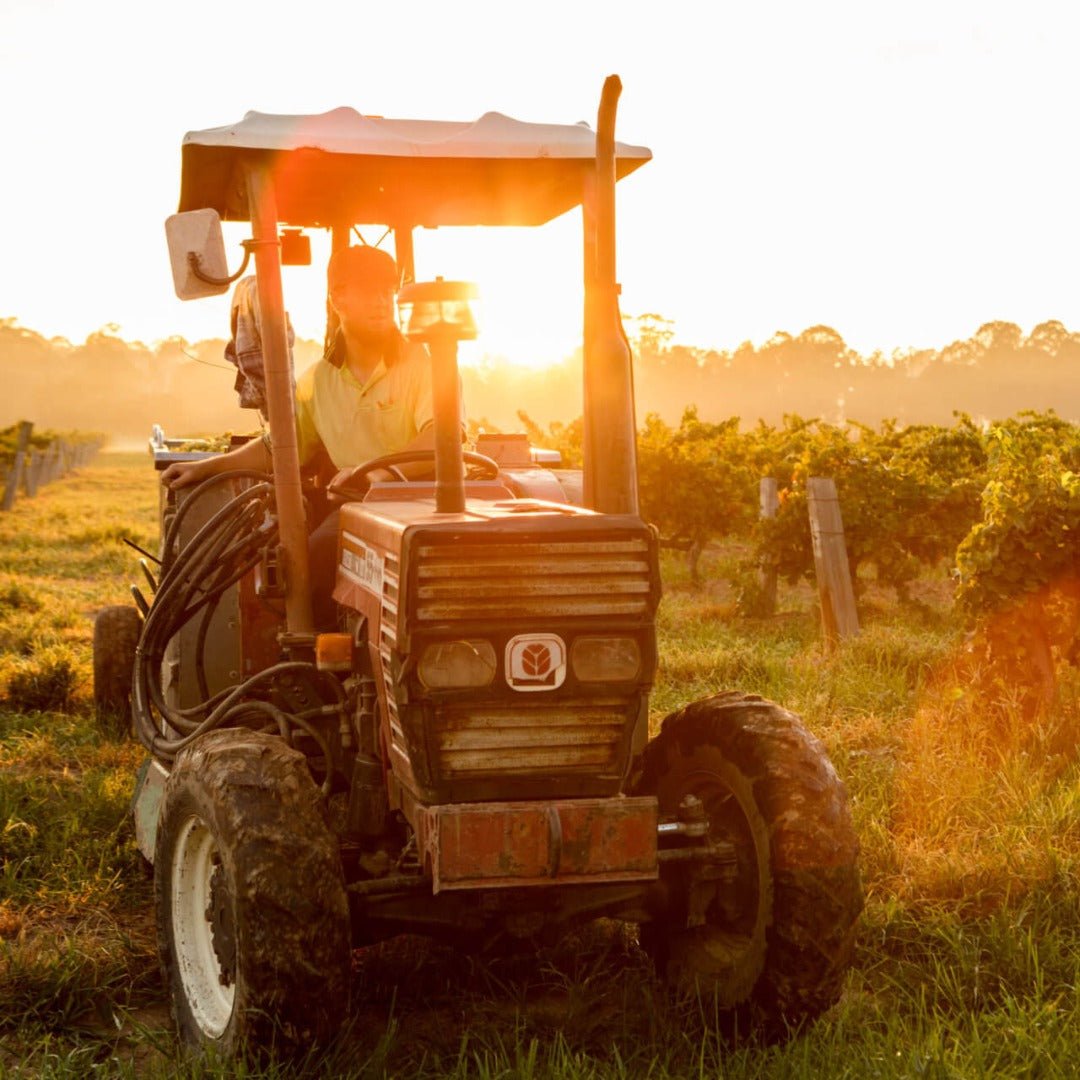 Tyrell's Hunter Valley Chardonnay - Latitude Wine & Liquor Merchant