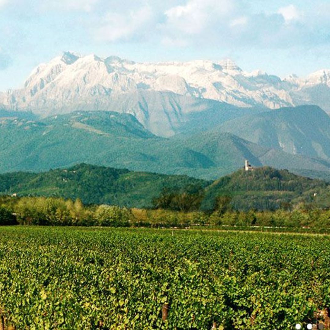 Vie Di Romans Friuli Chardonnay - Latitude Wine & Liquor Merchant