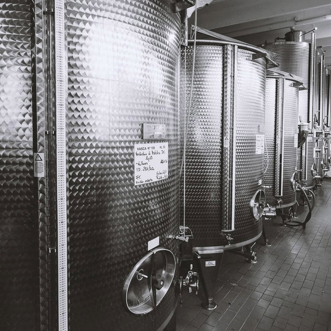 Vigneti Del Cerro Verdicchio Di Matelica - Latitude Wine & Liquor Merchant