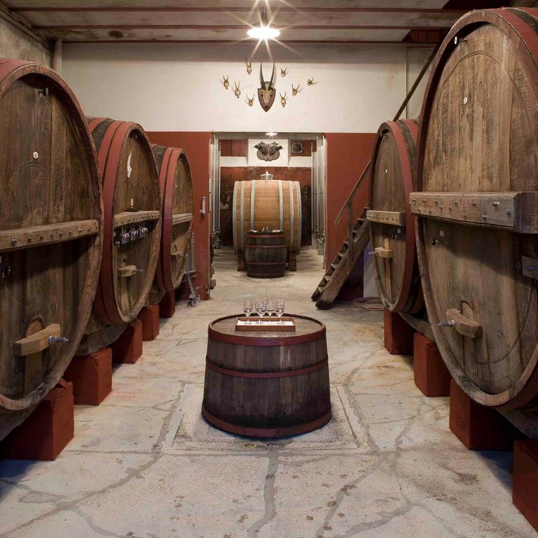 Villa Cialdini Lambrusco Grasparossa