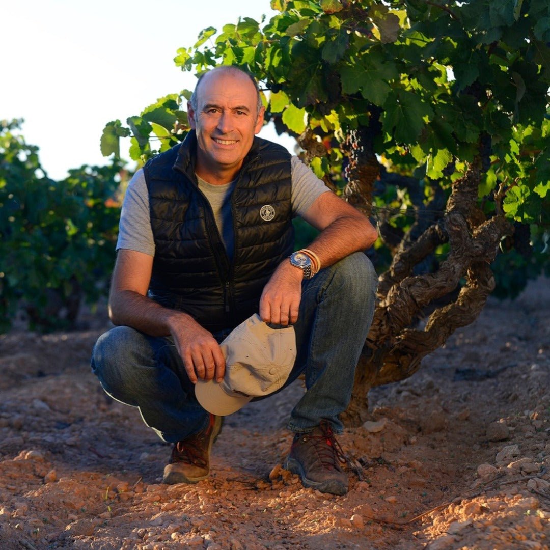 Vinateros Bravos Pipeno Itata Cinsault - Latitude Wine & Liquor Merchant