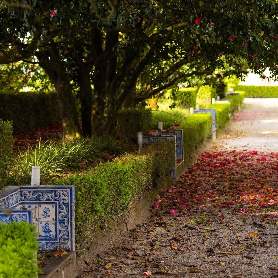 Vinha Maria Dao Reserva White - Latitude Wine & Liquor Merchant