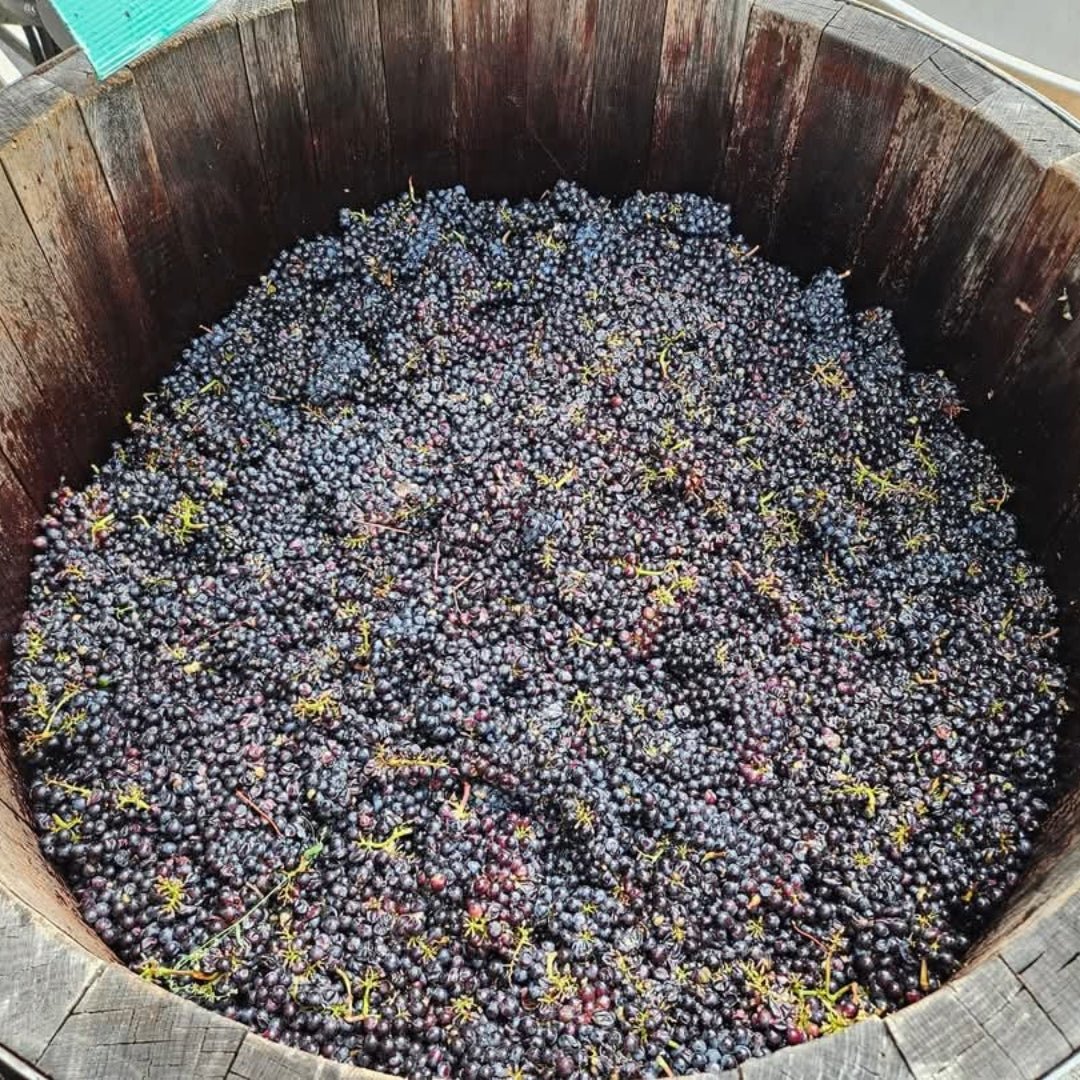 Westcott Vineyards Pinot Noir - Latitude Wine & Liquor Merchant