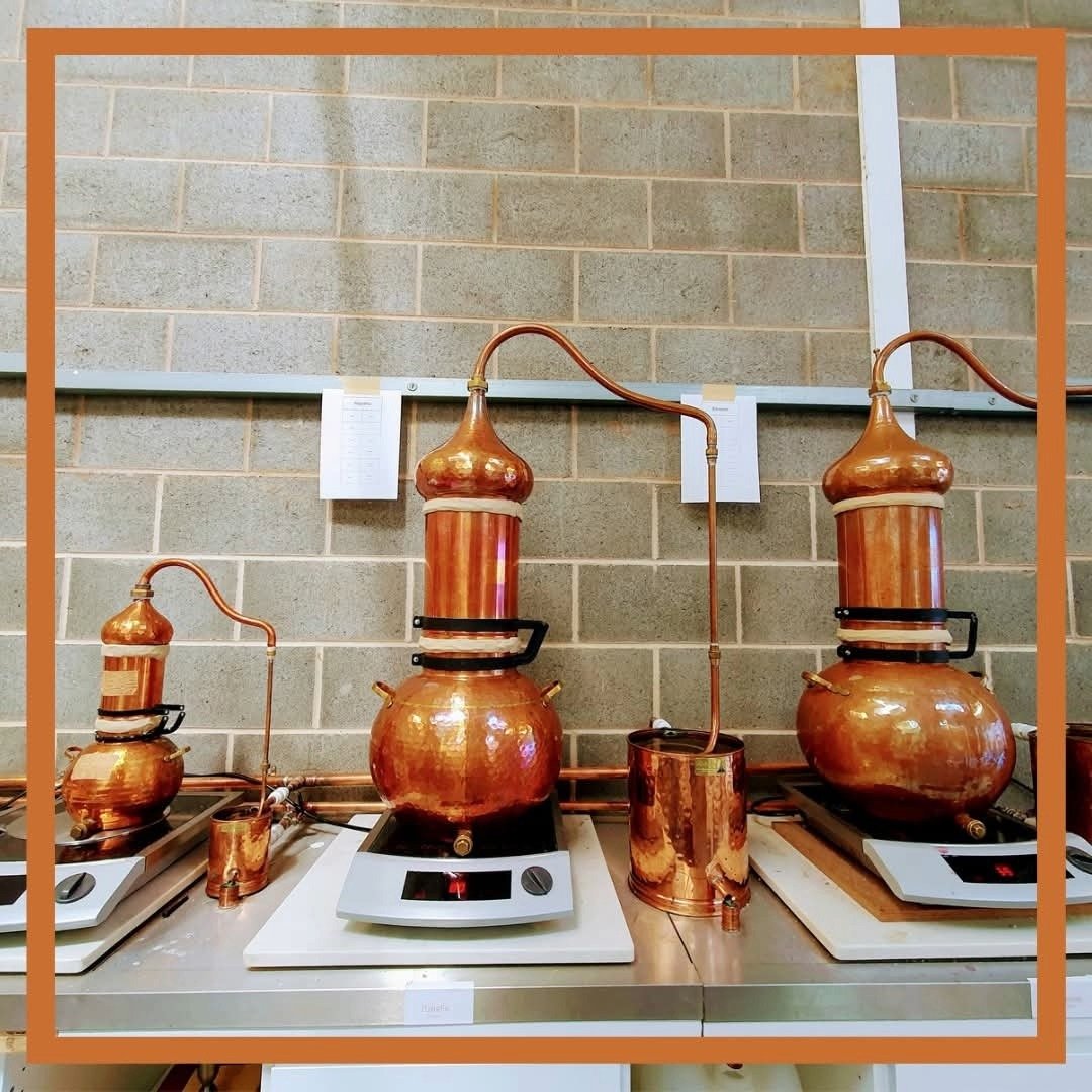 Wolfe Bros Orancello 50cl - Latitude Wine & Liquor Merchant