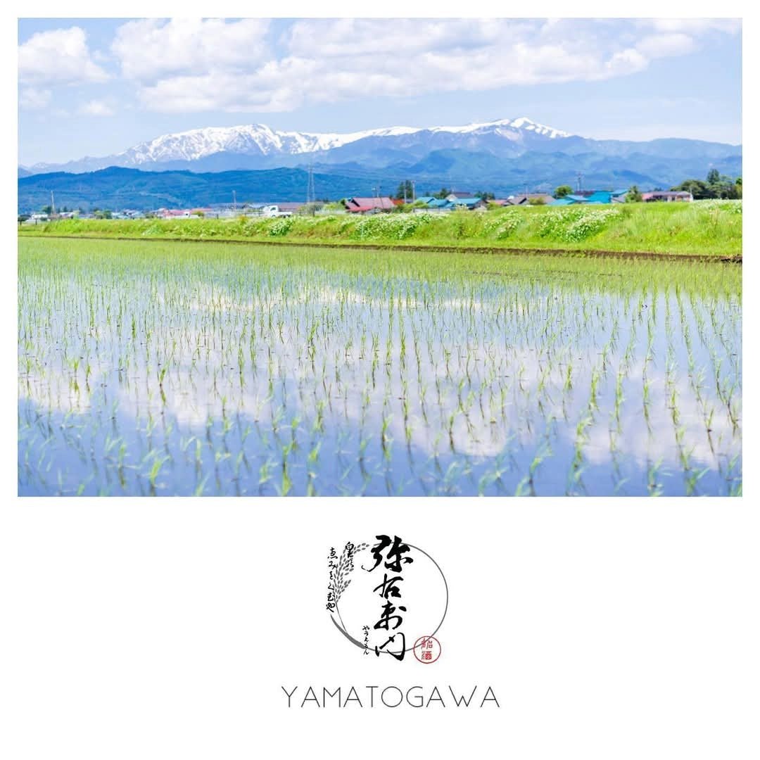 Yamatogawa Shuzo Yauemon "Waning Moon" Junmai - Latitude Wine & Liquor Merchant