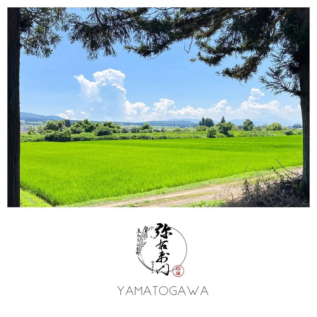 Yamatogawa Shuzo Yauemon "Waning Moon" Junmai - Latitude Wine & Liquor Merchant