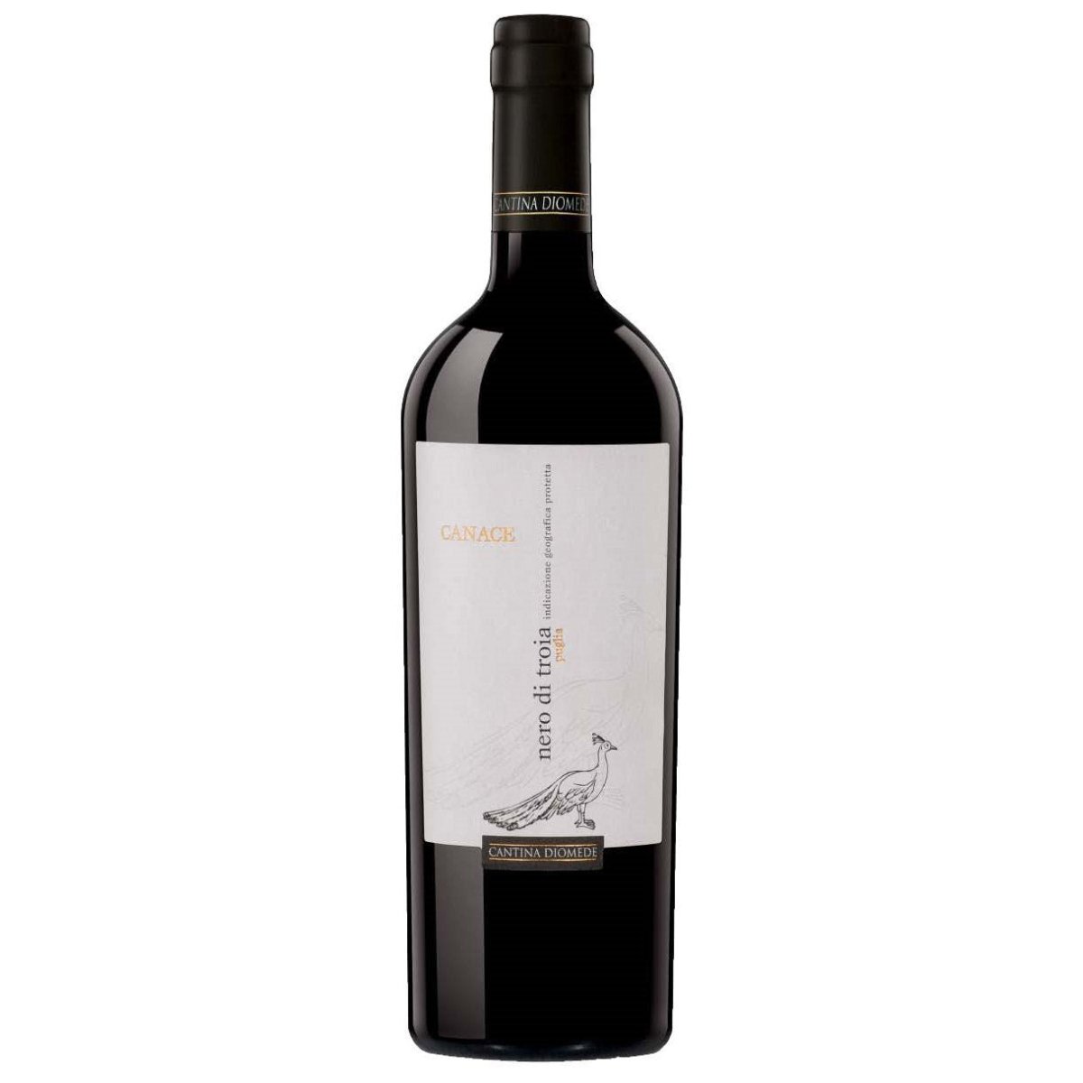 Cantina Diomede Canace Nero Di Troia - Latitude Wine & Liquor Merchant
