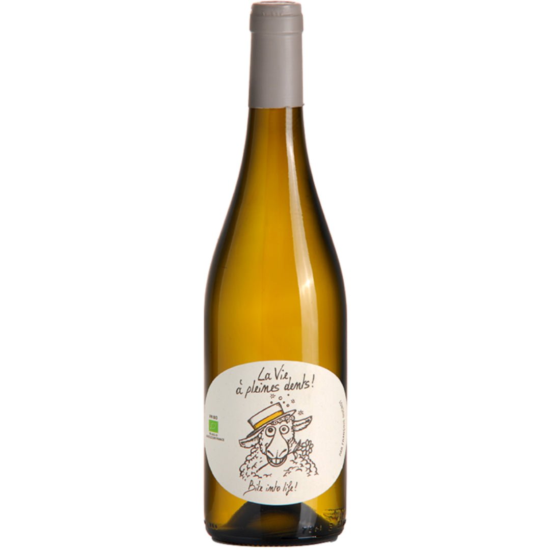 Francois Ducrot Bite into Life Blanc - Latitude Wine & Liquor Merchant