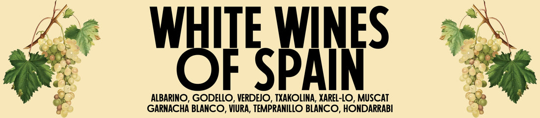 Spotlight on White Wines of Spain