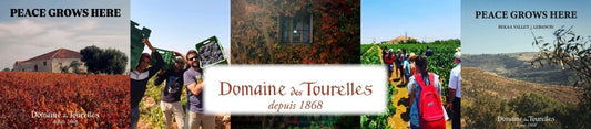 Spotlight on Domaine Des Tourelles - Latitude Wine & Liquor Merchant