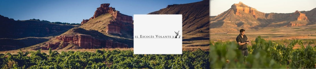Spotlight on El Escoces Volante – Calatayud, Spain - Latitude Wine & Liquor Merchant