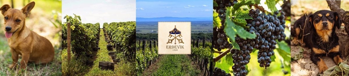 Erdevik Spotlight on Erdevik Winery – Latitude Wine & Liquor Merchant