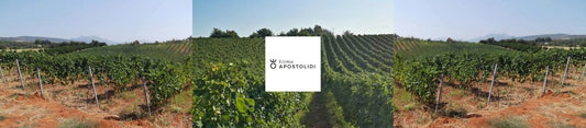 Spotlight on Ktima Apostolidi Winery - Latitude Wine & Liquor Merchant