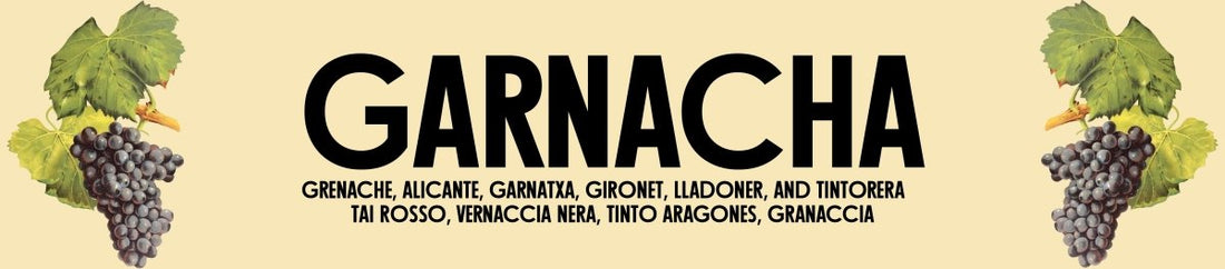 Spotlight on Spanish Garnacha - Latitude Wine & Liquor Merchant