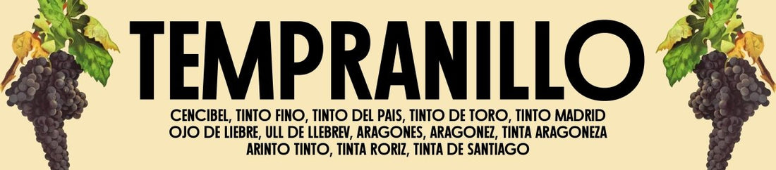 Spotlight on Tempranillo - Latitude Wine & Liquor Merchant