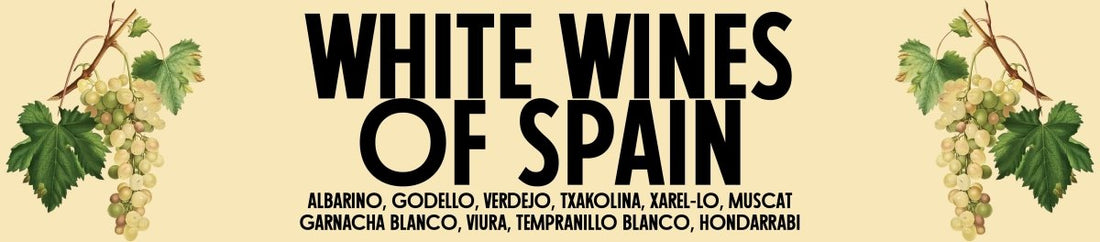 Spotlight on White Wines of Spain - Latitude Wine & Liquor Merchant
