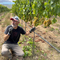 Amayna Cote d'Mar Syrah