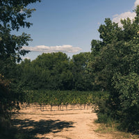 Bargemone Bisous Vin De France Petillant Natural