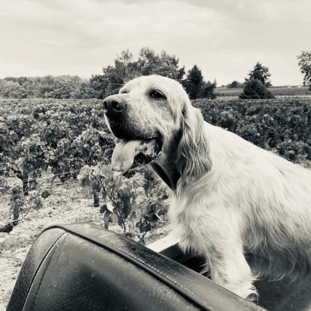 Chateau Leoville Barton Cru Classe Saint-Julien