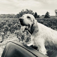 Chateau Leoville Barton Cru Classe Saint-Julien